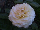 DSC01586