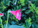 Picture 106
