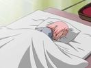 Sakura dormind