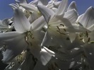 19-06-12_1330
