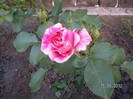 Ines Sastre