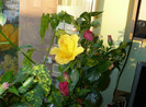 P1390928