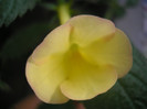 P6180327