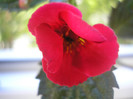 P6180307