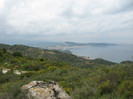 in zarecapitala