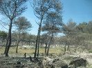 urme ale incendiului din 2011