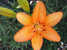 DSCF7687