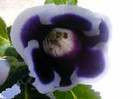 IMAG0026