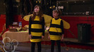 sonny with a chance season 1 episode 1 HD 13606