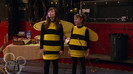 sonny with a chance season 1 episode 1 HD 13607