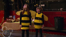 sonny with a chance season 1 episode 1 HD 13611
