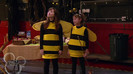 sonny with a chance season 1 episode 1 HD 13612