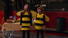 sonny with a chance season 1 episode 1 HD 13613