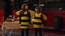 sonny with a chance season 1 episode 1 HD 13619
