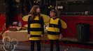 sonny with a chance season 1 episode 1 HD 13620