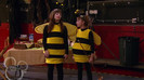 sonny with a chance season 1 episode 1 HD 13635
