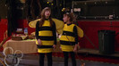sonny with a chance season 1 episode 1 HD 13636