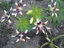 Photo062