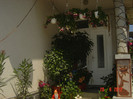 poze 1004
