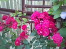 Photo003