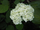 Photo005