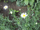 Photo051