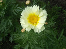 Photo052