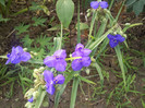 Photo053