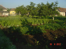 poze 957