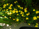 DSCN8372