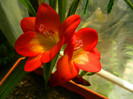 DSCN8402