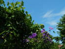 DSCN8430