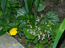 DSCN8431