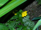DSCN8432