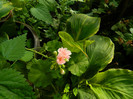DSCN8435