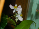 DSCN8448