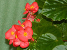 DSCN8449