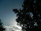 DSCN8454