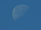 DSCN8470