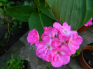 DSCN8476