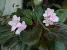 DSCN8479