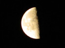 DSCN8526