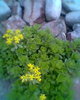 Fotogr.0596