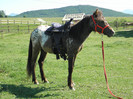 poza 086
