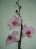 DSC03553