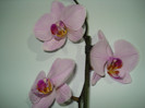 DSC03552