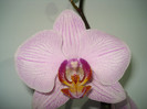 DSC03551