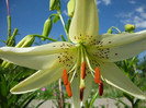 P1000843