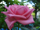 DSC04852