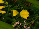 DSCN8772